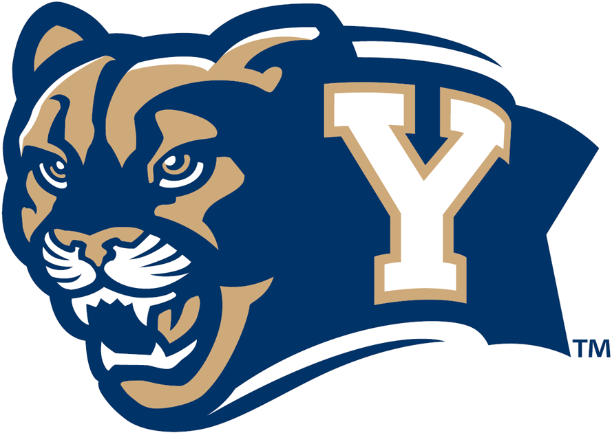 Brigham Young Cougars 2005-Pres Secondary Logo diy fabric transfer